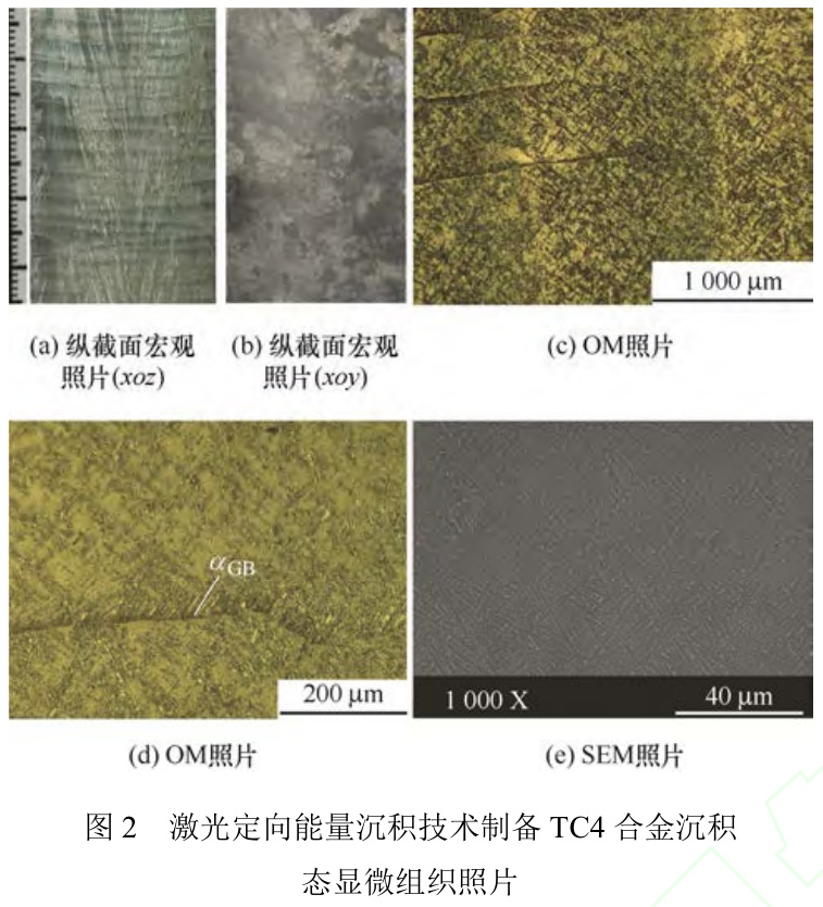 不同熱處理對(duì)激光定向能量沉積制造TC4鈦合金鍛件組織和拉伸性能的影響