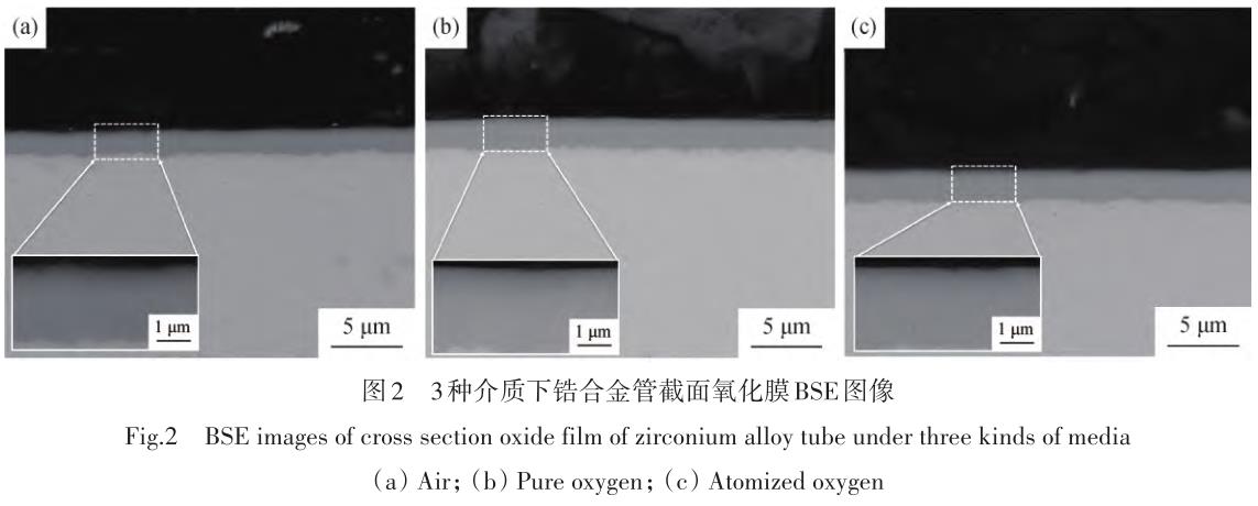 1730084888112389.jpg 360截圖16470413556999.jpg